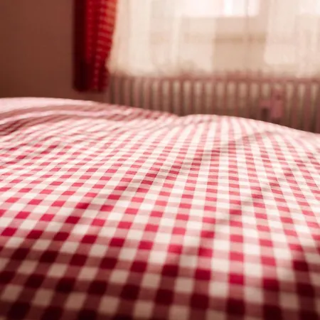 Hotel Hotel-restaurant Koehler