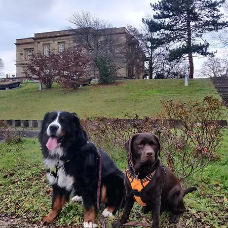 Hotel Hotel-restaurant Koehler 2*