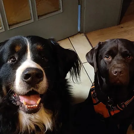 Hotel-restaurant Koehler 2*