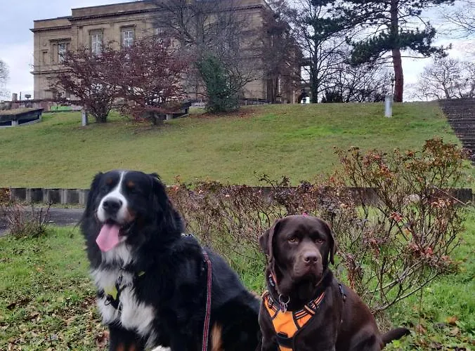 酒店 Hotel-restaurant Koehler 2*