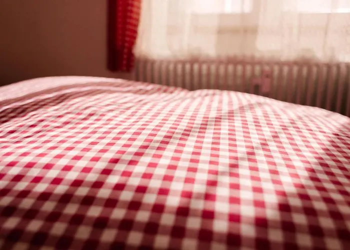 Hotell Hotel-restaurant Koehler