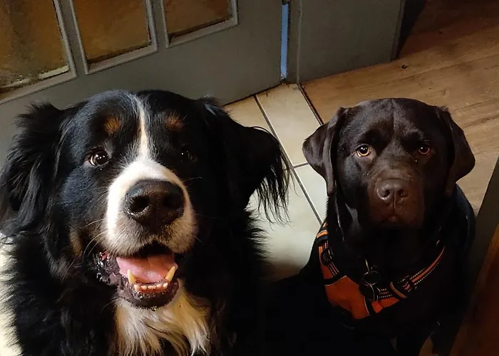 Hotel-restaurant Koehler 2*